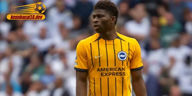 Baleba đang là mục tiêu của Man Utd.